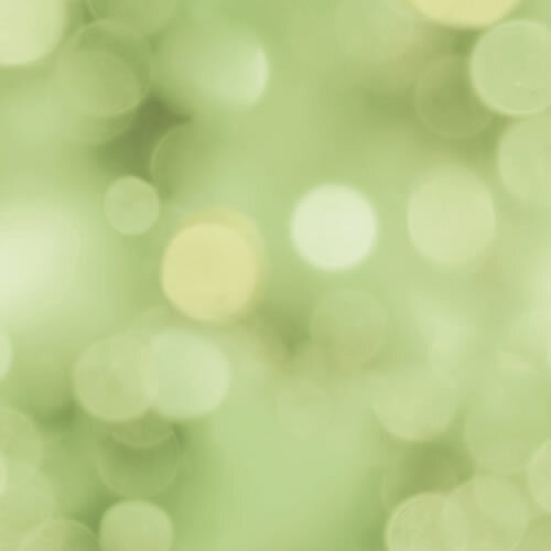 Fotohintergrund Vinyl 1,6x2,5m GREEN BOKEH